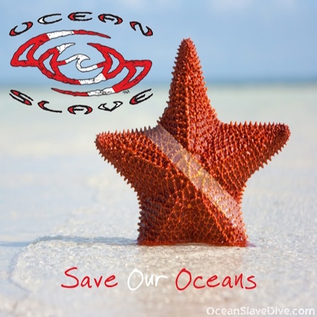Ocean-Slave-Save-Our-Oceans