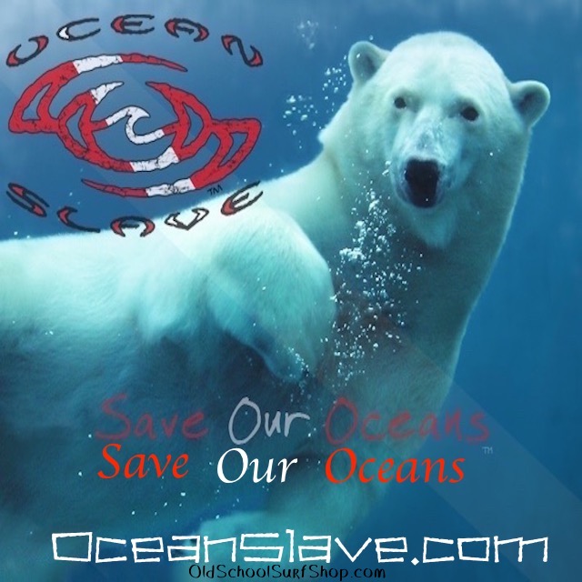Ocean-Slave-Dive-Surf-Logo-Snorkeling-Polar-Bear
